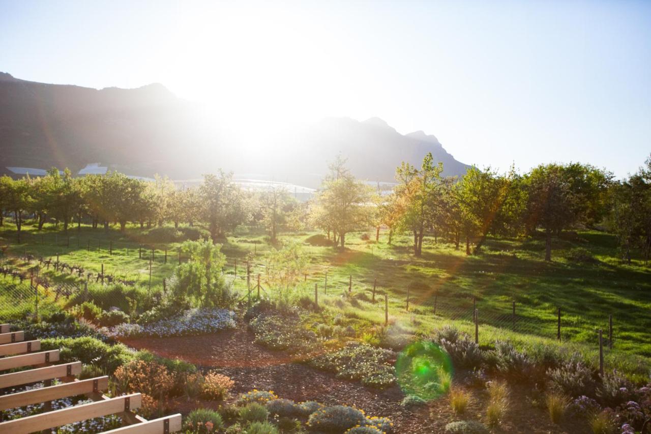 Vineyard Views Country House Riebeek-Kasteel Exterior photo