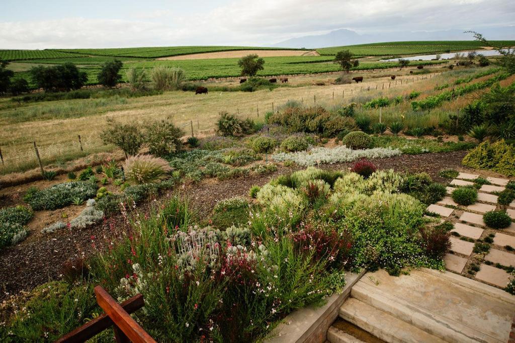 Vineyard Views Country House Riebeek-Kasteel Exterior photo