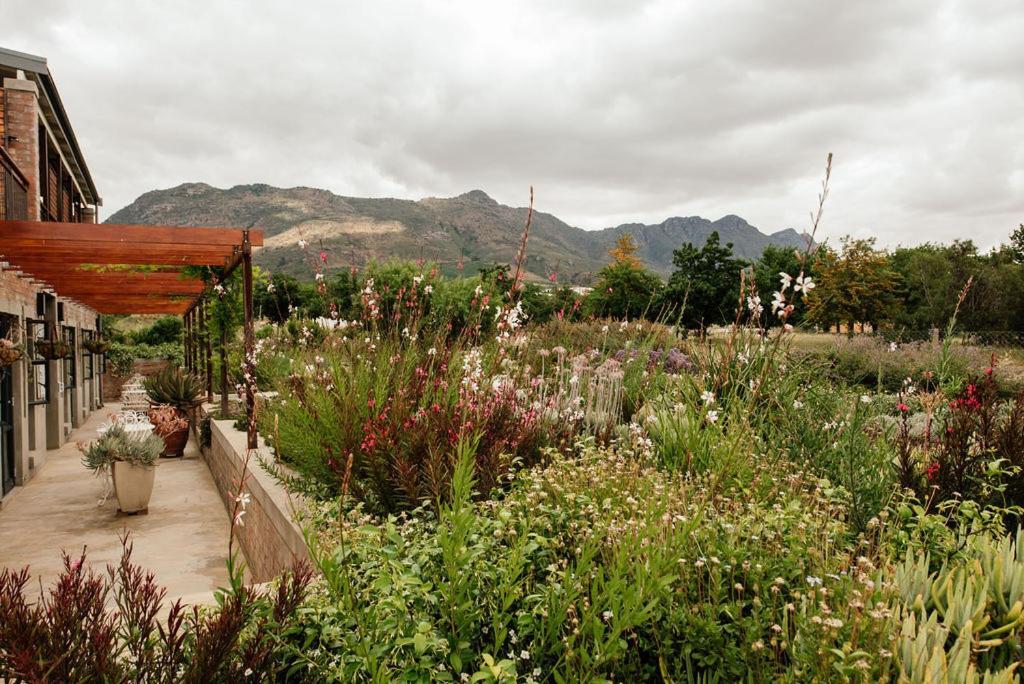 Vineyard Views Country House Riebeek-Kasteel Exterior photo